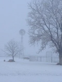 Snow-2014-1.jpg