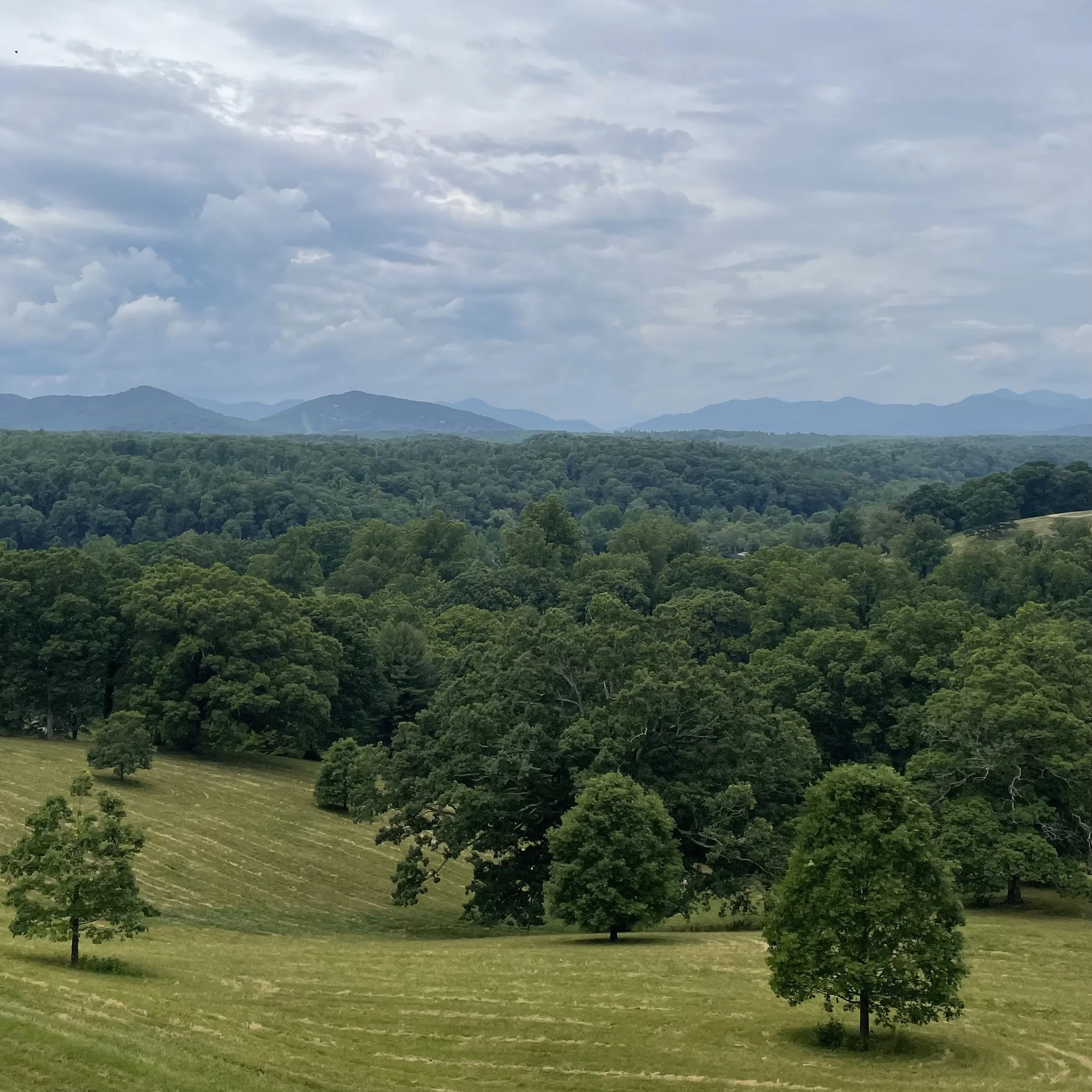 Biltmore Estate travel guide Asheville, NC