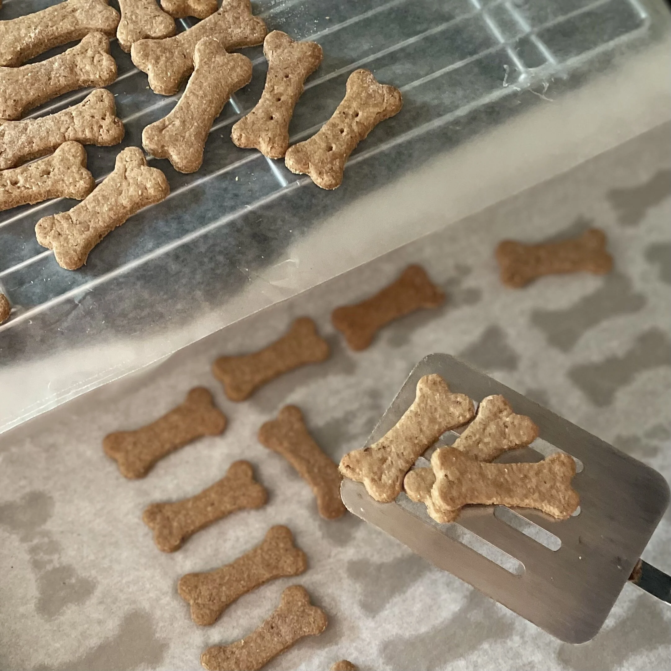 Peanut Butter Flax Seed Dog Treats — Inspiration Apron