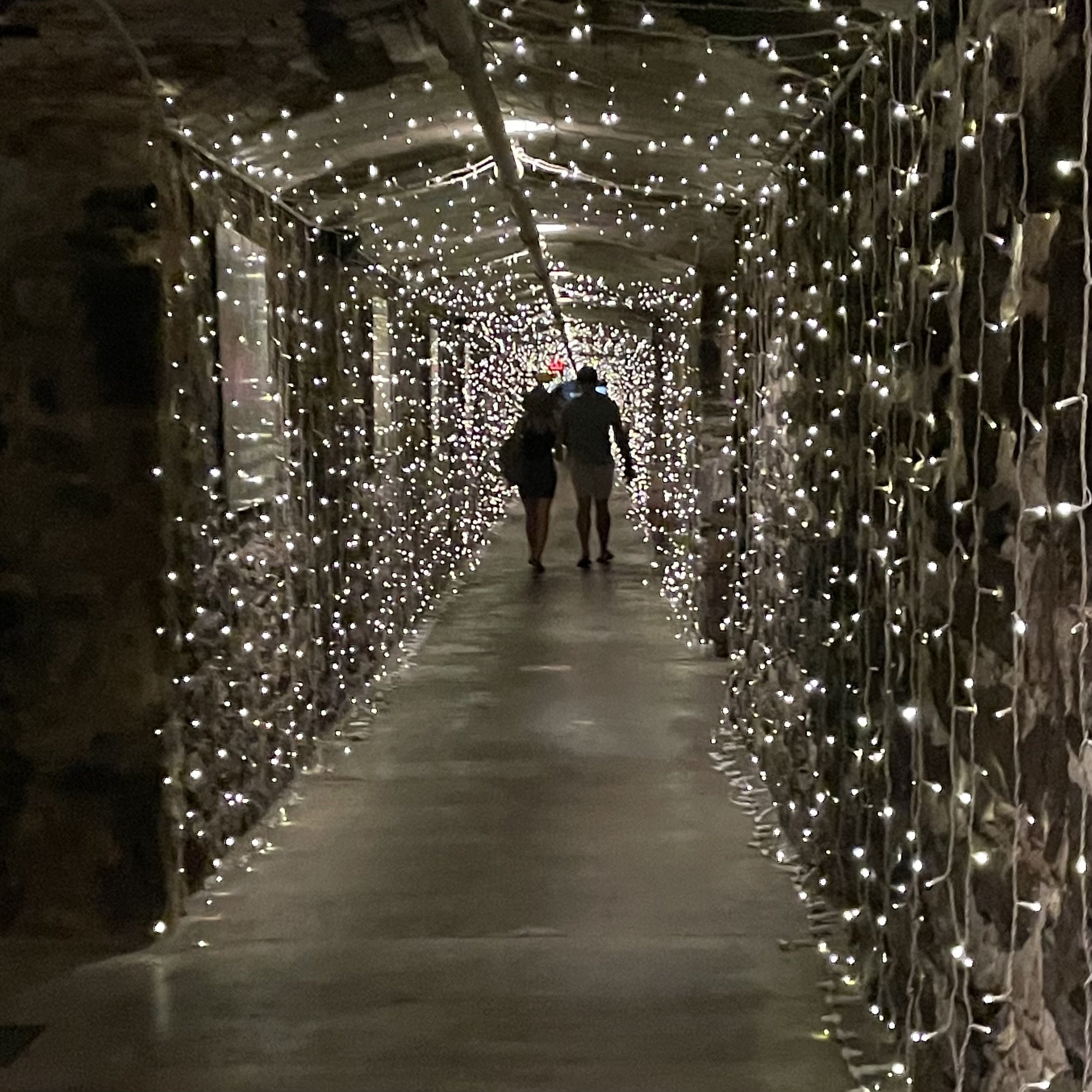Biltmore winery tunnel with hanging lights.jpg