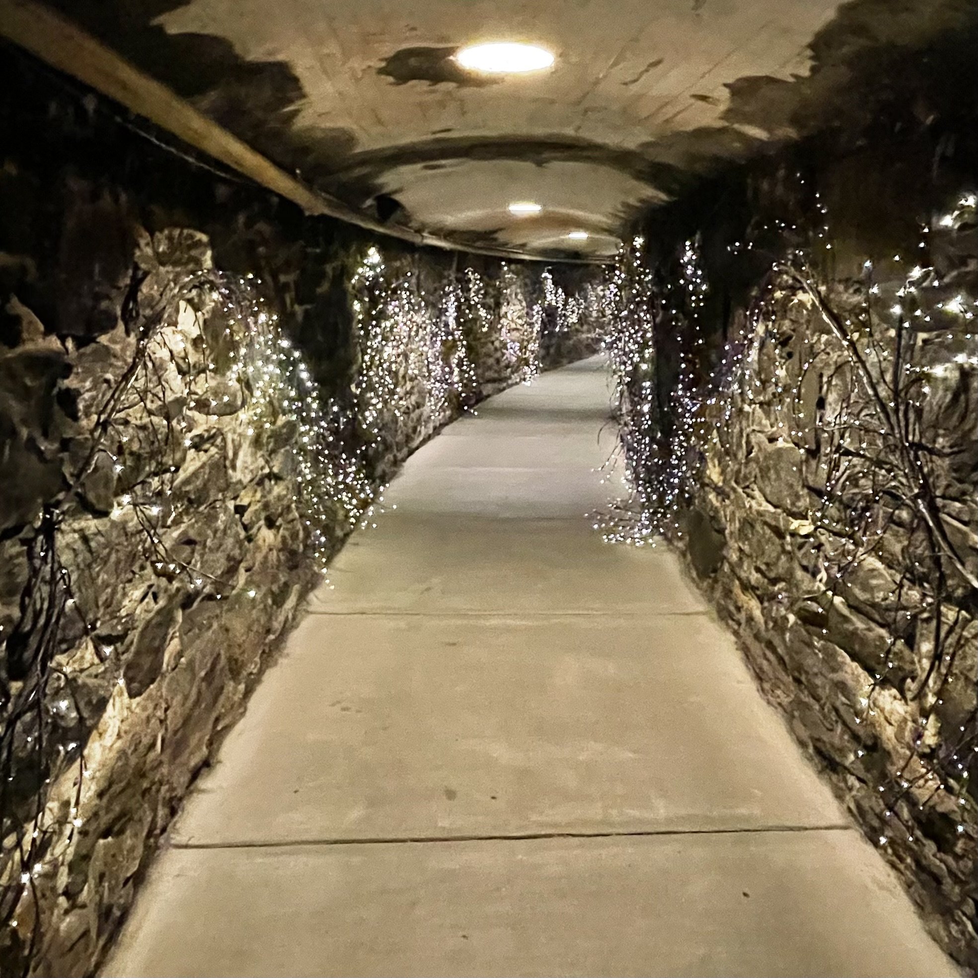 Biltmore winery tunnel.jpg