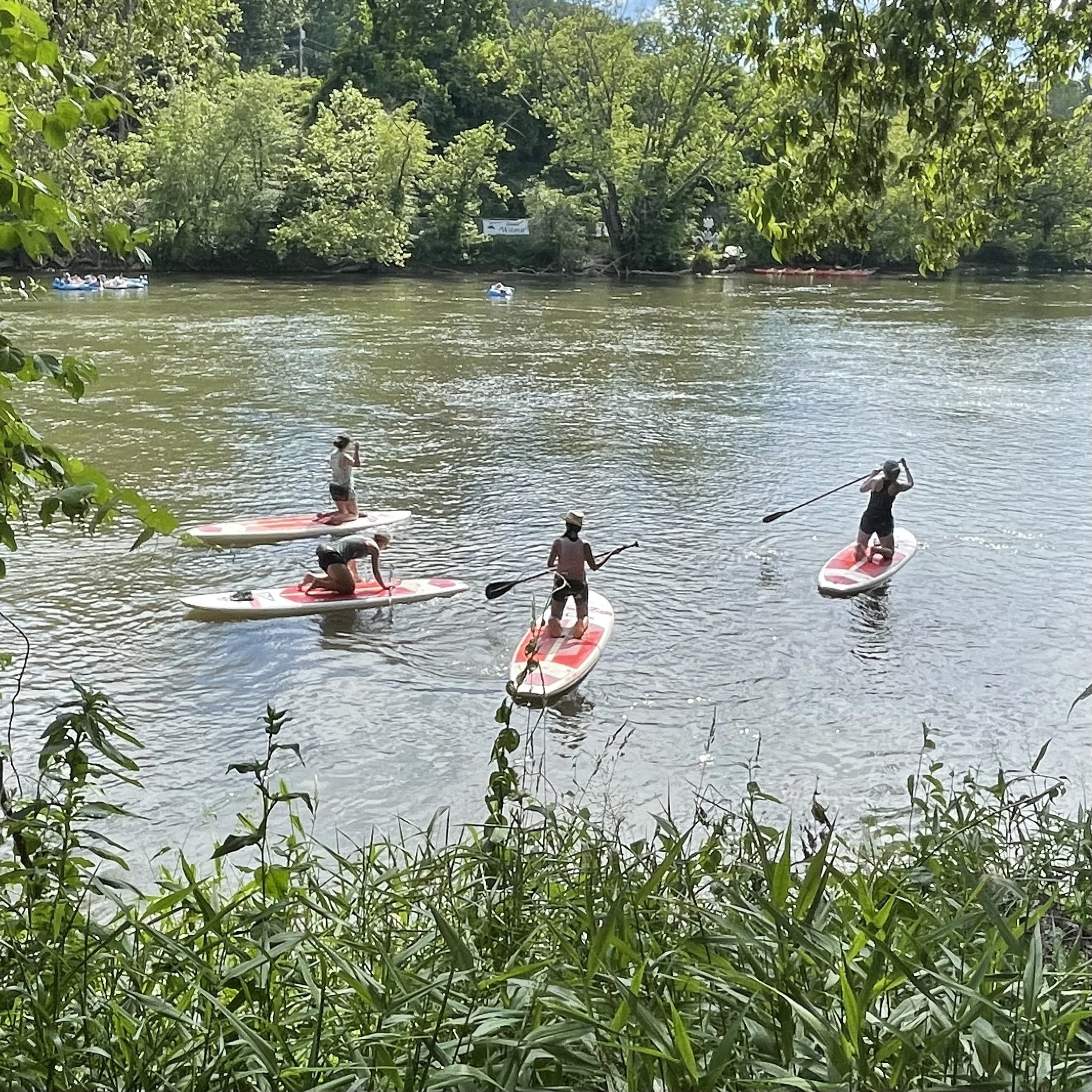 paddle boarding on the french broad river in asheville nc.jpg