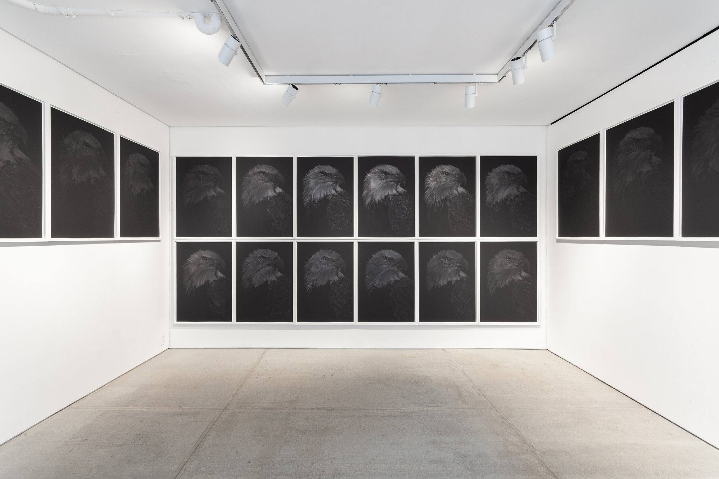   Empire,  Exhibition Install 2013-2017 (Series of 50, each unique) graphite on black paper 40 × 29 inches (102 × 74 cm) 