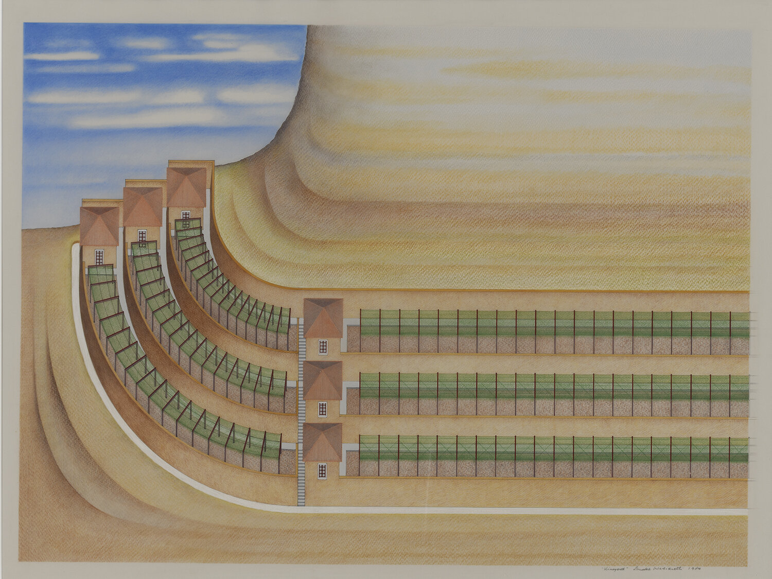   Vineyard , 1984 colored pencil on paper 25 × 33 inches (64 × 84 cm) 