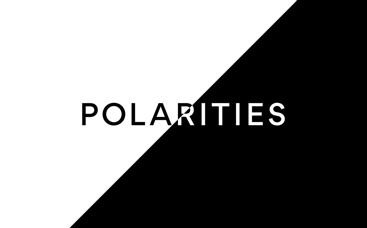 polarities_0001_Polarities_web_notext.jpg