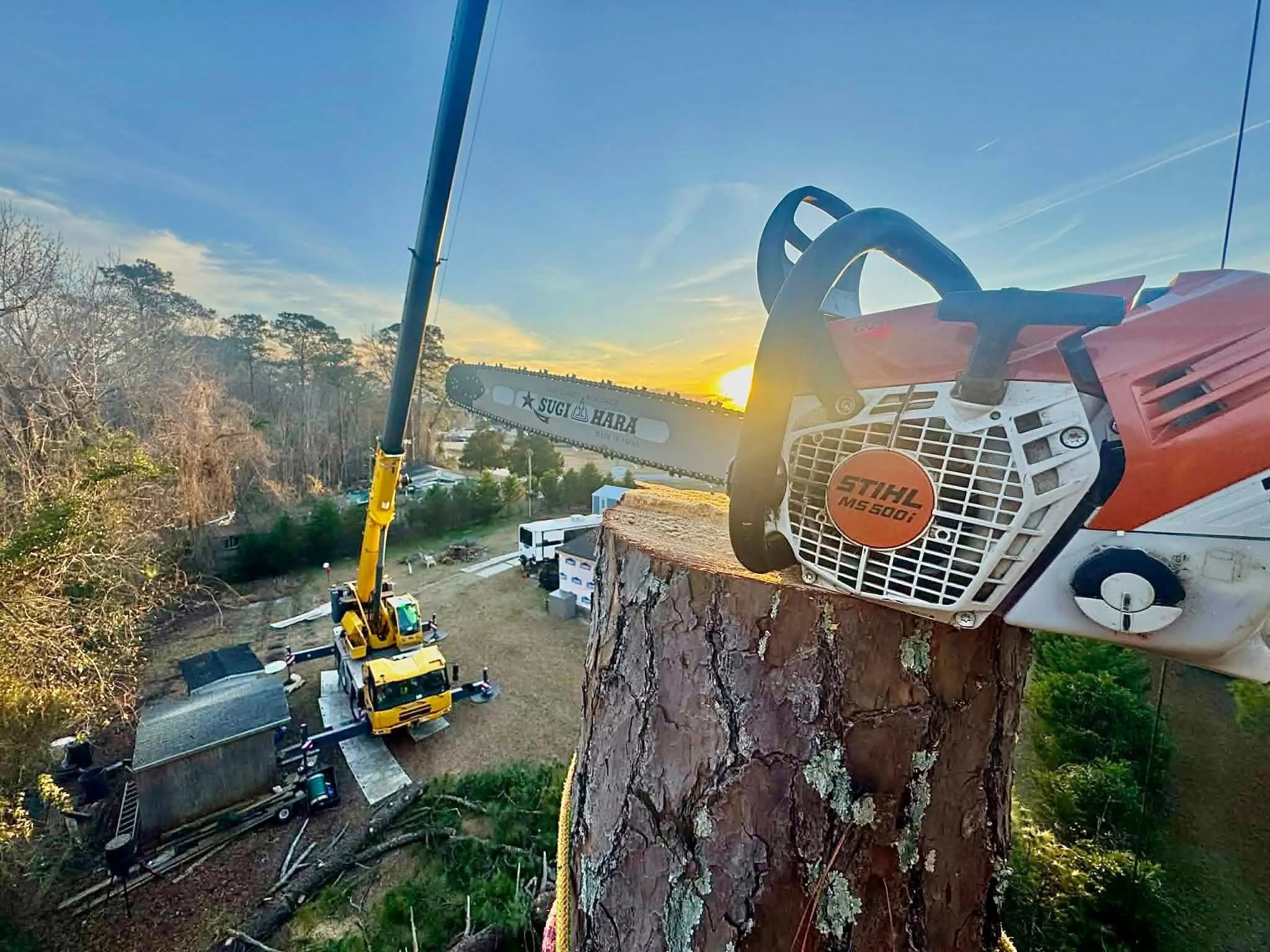 Tree cutting with crane and chainsaw at sunset, with equipment and logs below.