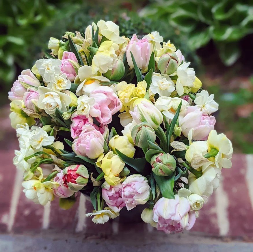tulips.jpg