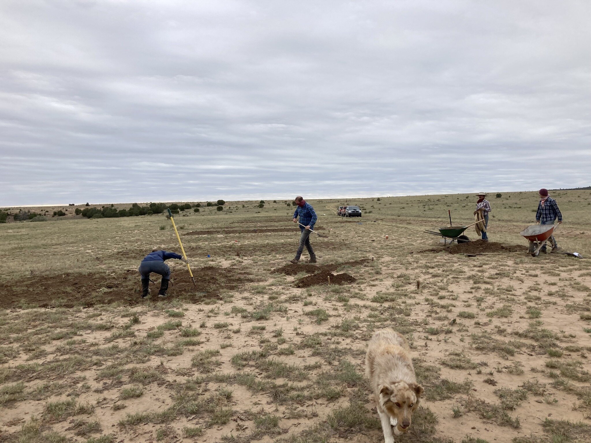 Here's a little something about the compost trials on rangelands we did with the Quivira Coalition and Polk's Folly Farm. I think this soil amendment may have some potential when used as a mean of addressing erosion high in the watershed where lack o