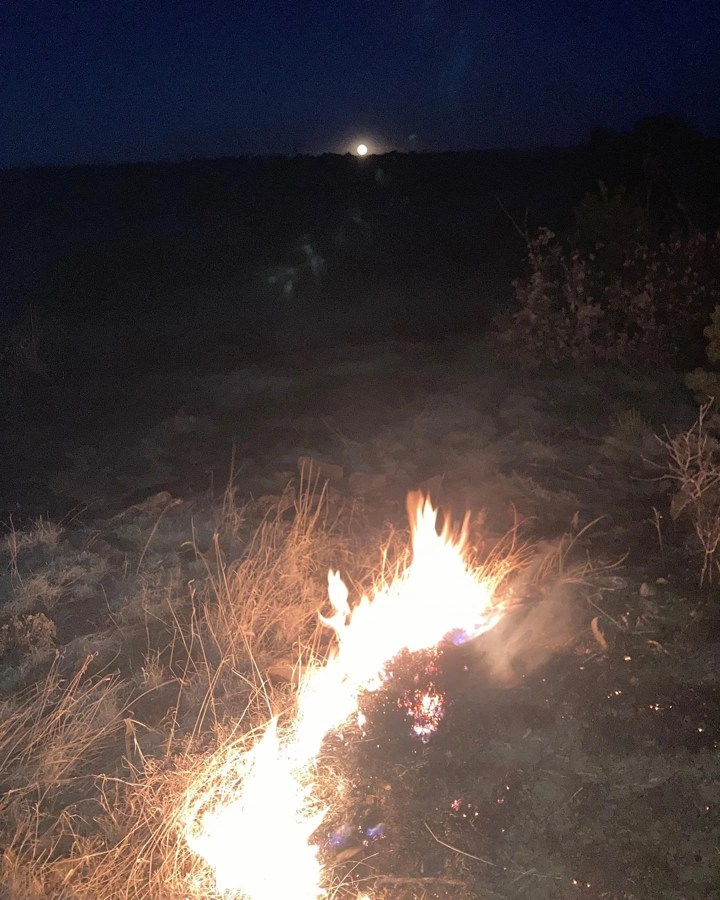 Got the call at noon, moved all cattle to relative safety then out onto the line to mop up trees on my place and the neighbors still burning. They had it mostly out except for the spots but the wind was shifting a little as I finally gave up for the 