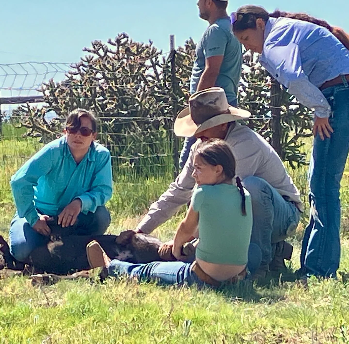 We&rsquo;re still at it!!! Sol Ranch Beef Delivery is back on for Sunday, June 22. You can still place your order at solranchnm.com by Friday at noon if you&rsquo;d like to get some beef on your grill for the 4th!  In the meantime, check out my niece