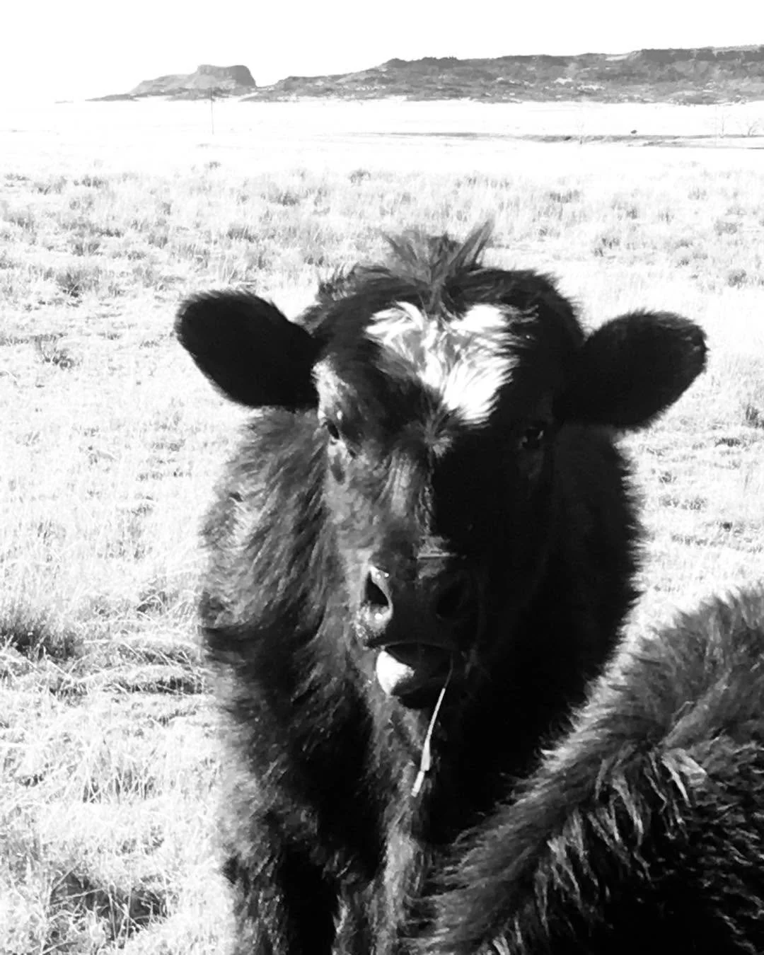 Happy Valentine&rsquo;s Day! Oh wait, that&rsquo;s a little late, isn&rsquo;t it? If you&rsquo;re behind schedule and missed getting something for your sweetie or just want to spoil them a little more, beef delivery is happening this Saturday, Feb 21