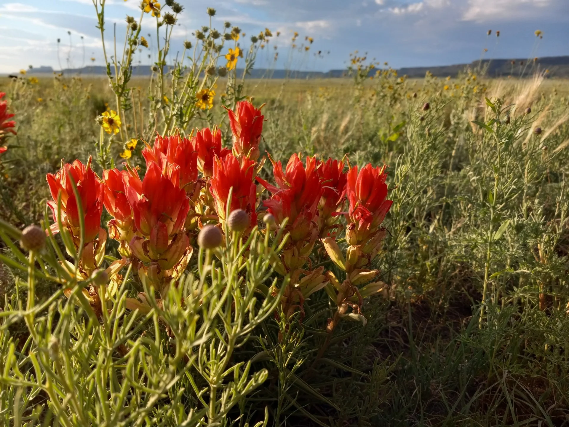 2. Transition to a Season of Growing— with Shannon Maes