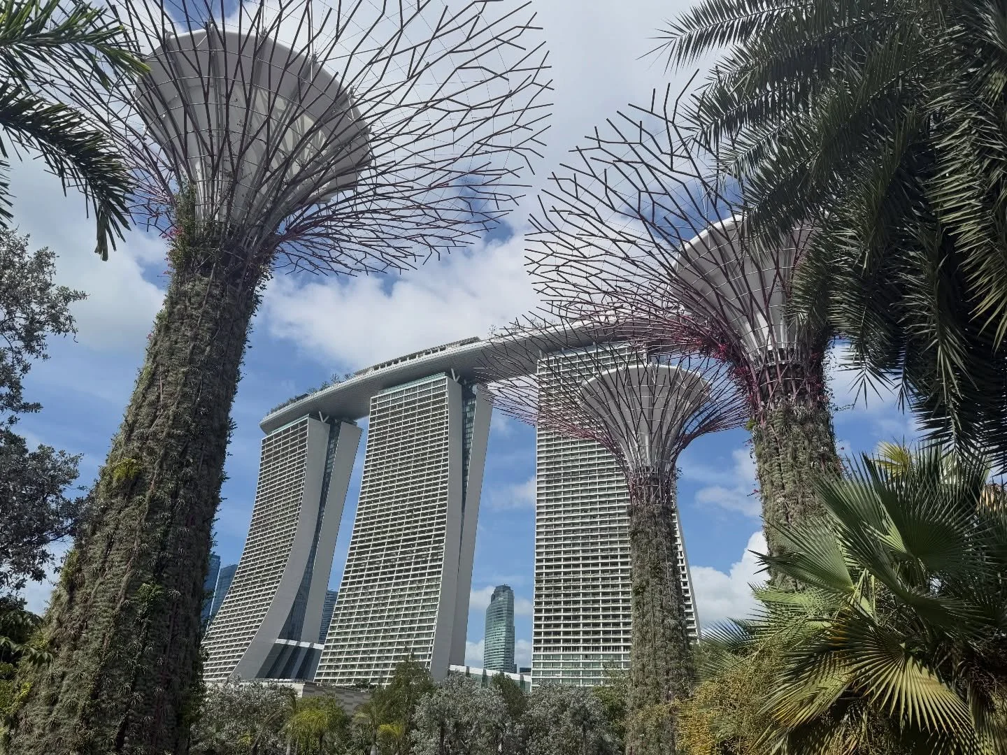 Merry Christmas from Singapore. 🇸🇬