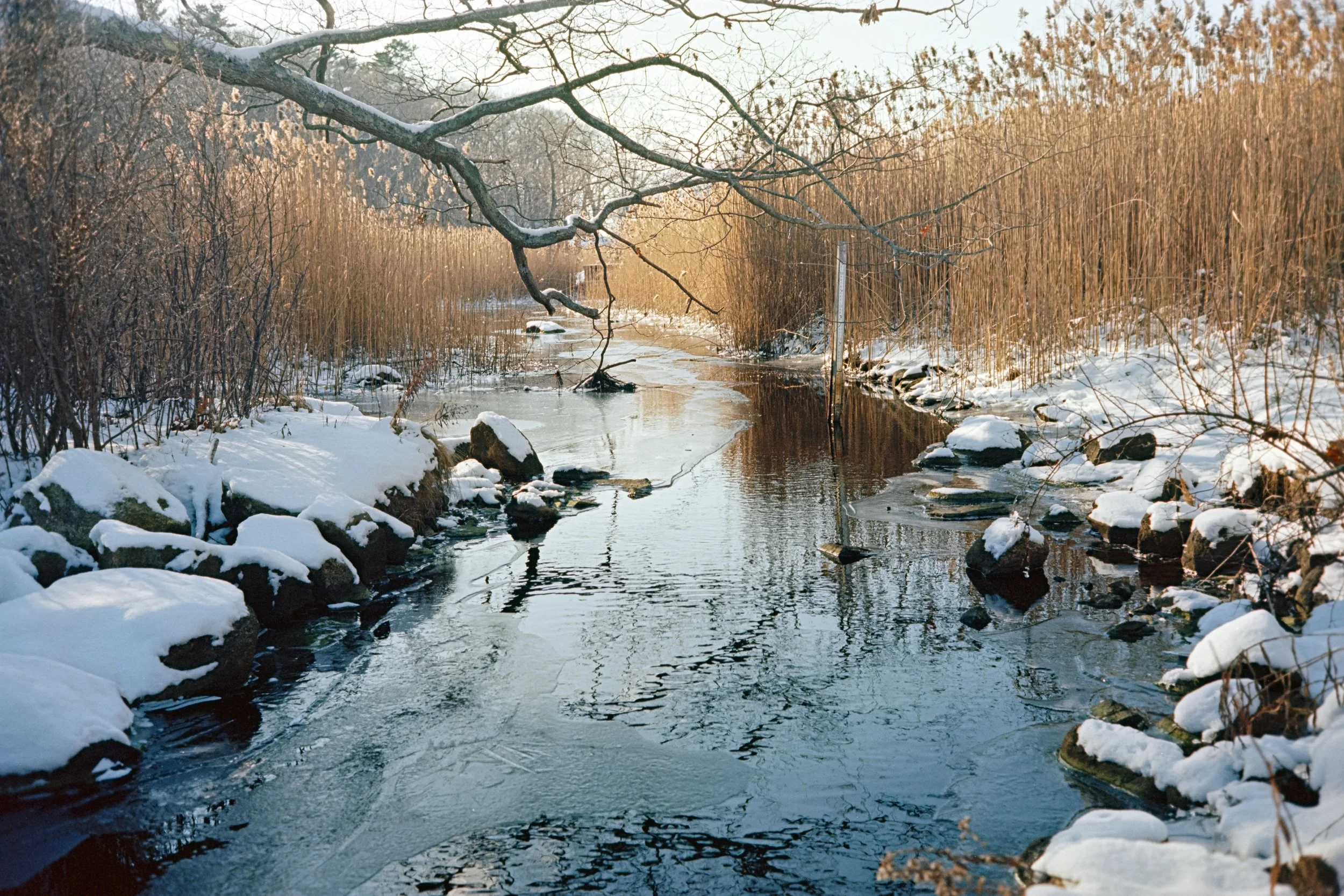 3263_20.jpg