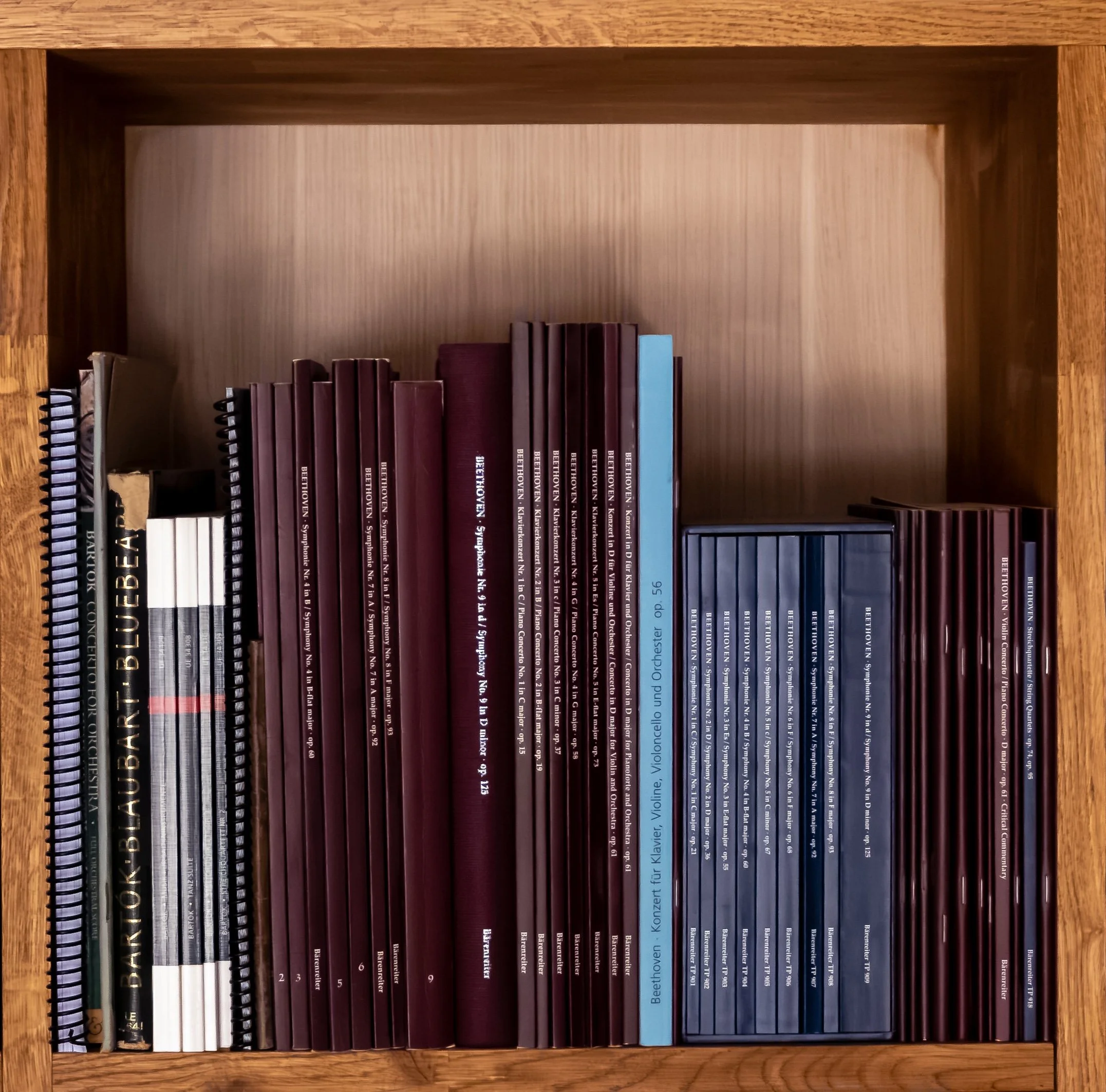 BP Shelves-13 website.jpg