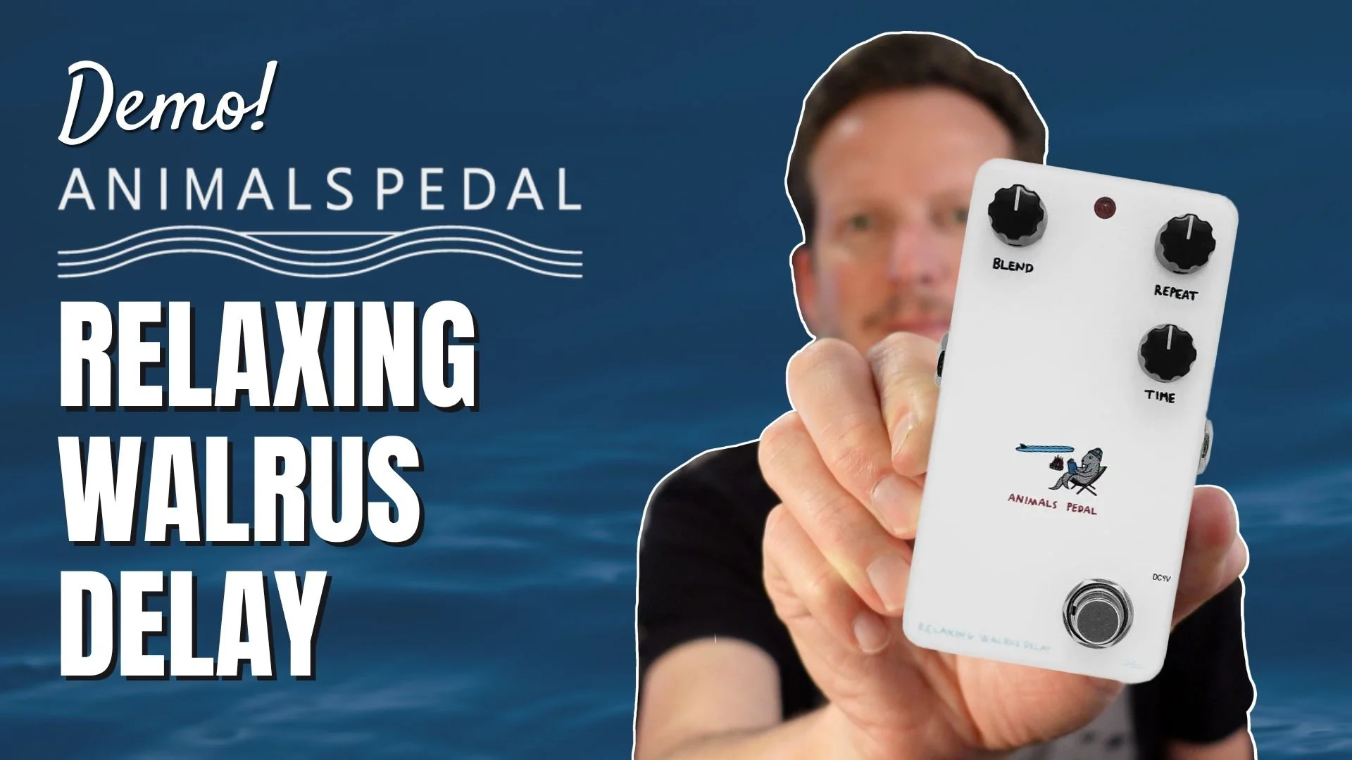 Animals Pedal - Relaxing Walrus Delay - Demo!