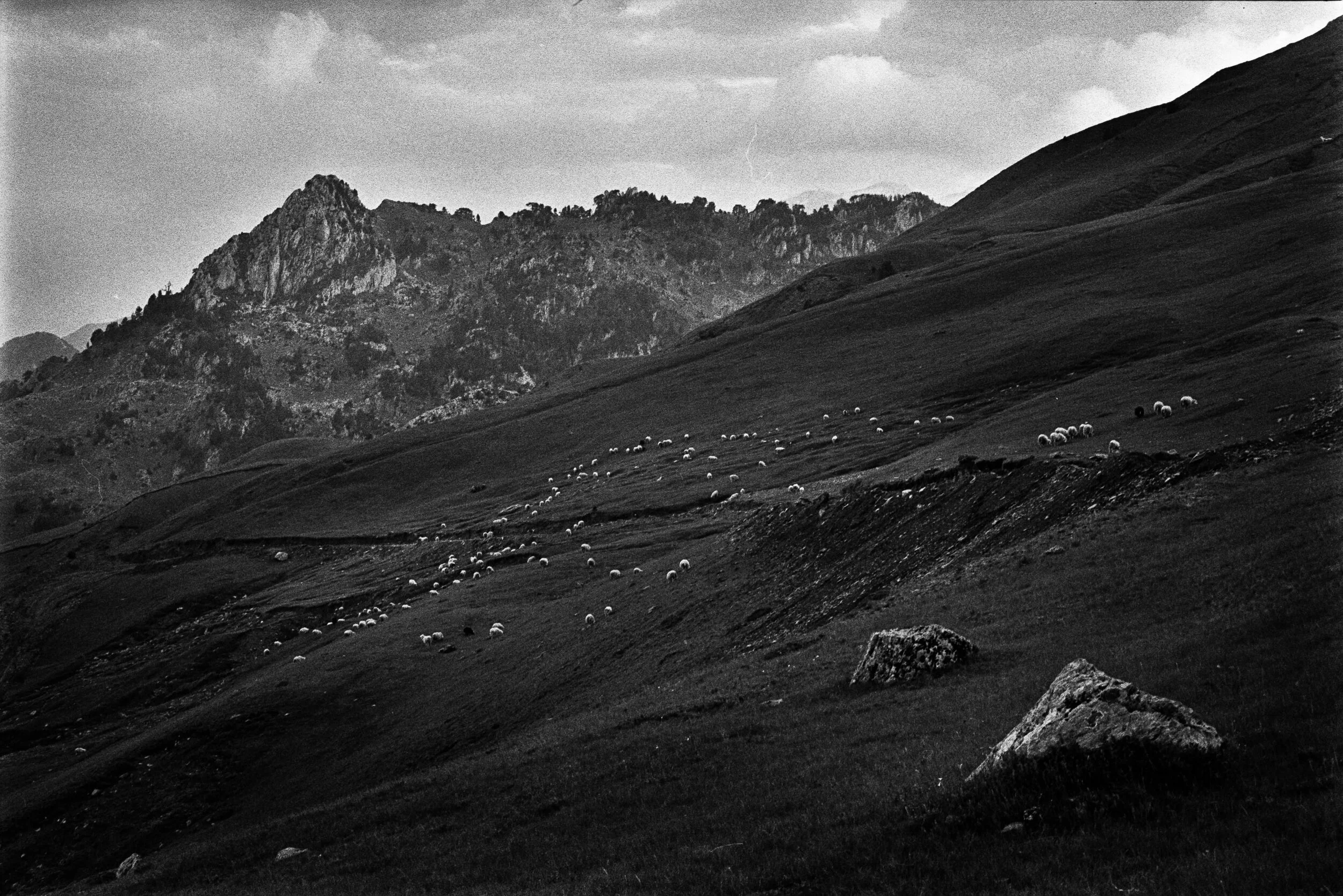 bartosz_matenko_albanian_shepherds_08.jpg