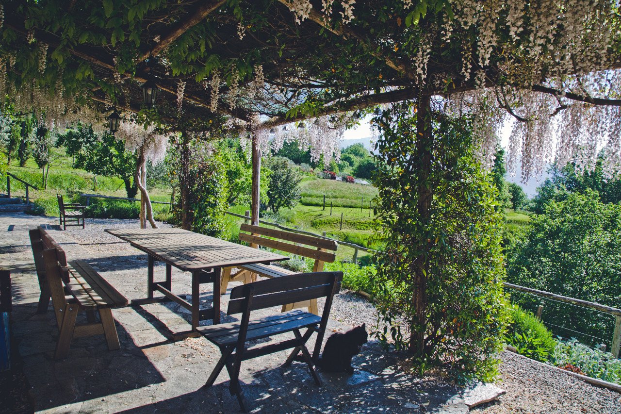 Wisteria covered terrace in the Garfagnana mountains overlooking the Serchio Valley (Copy)