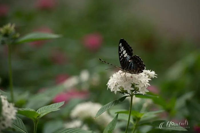 20210820-_DSC3259.jpg