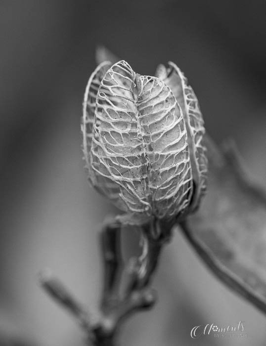 20200918-_DSC9040.jpg