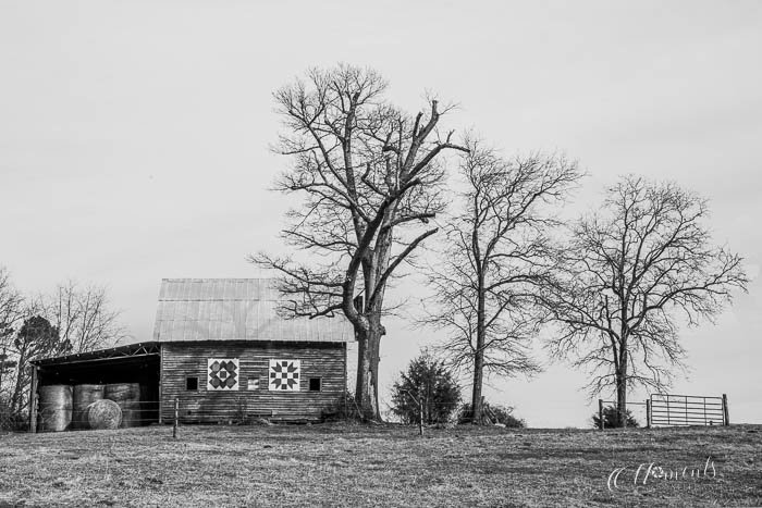 20210205-_DSC1567-HDR.jpg