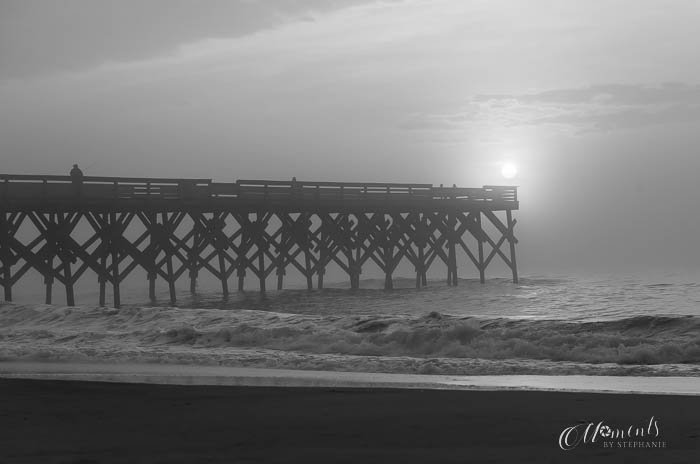20210327-_MBS6764-2.jpg