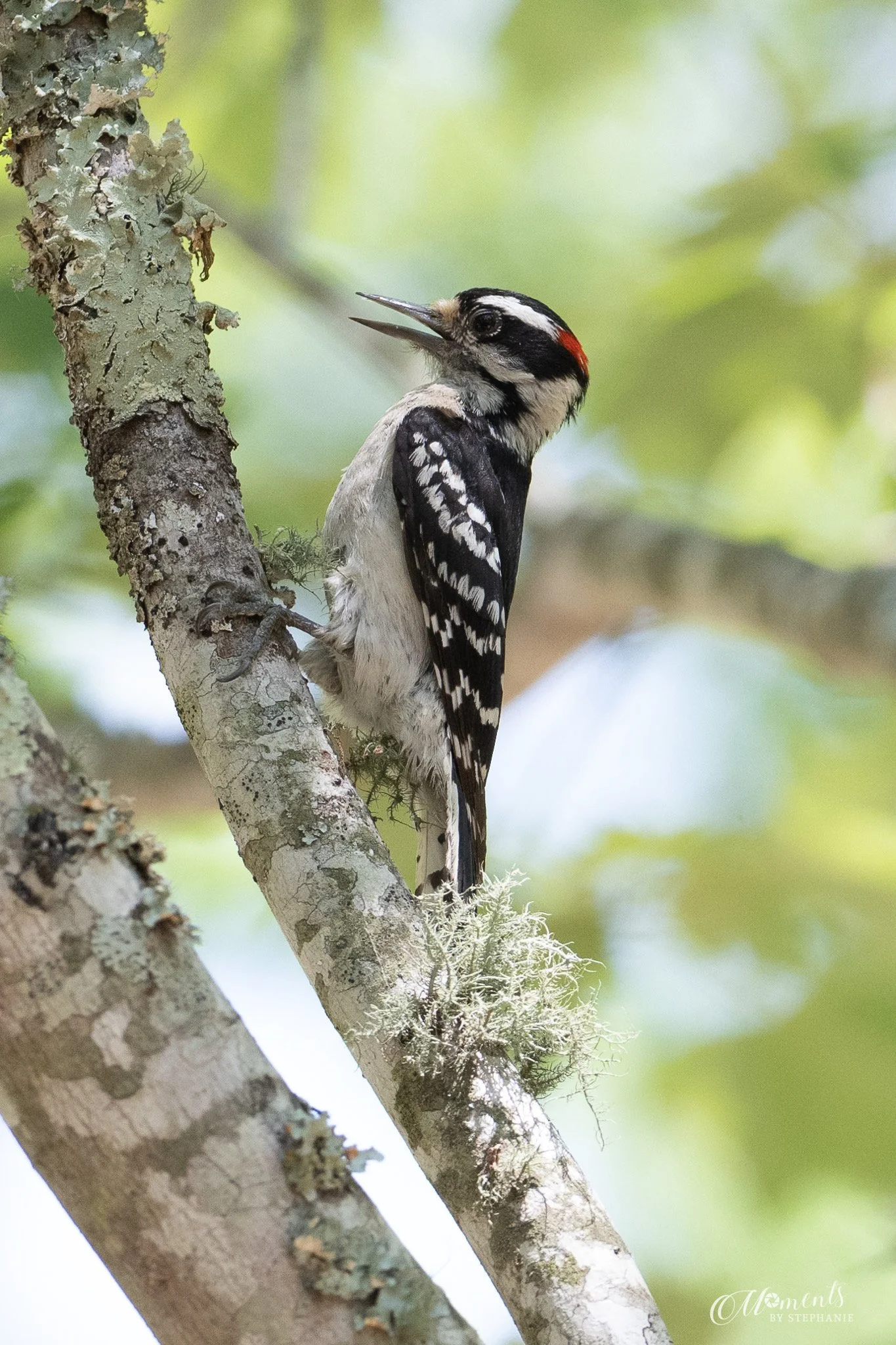 7A6A7C0E-515B-4F7E-BD42-A068488A6760 2.JPEG