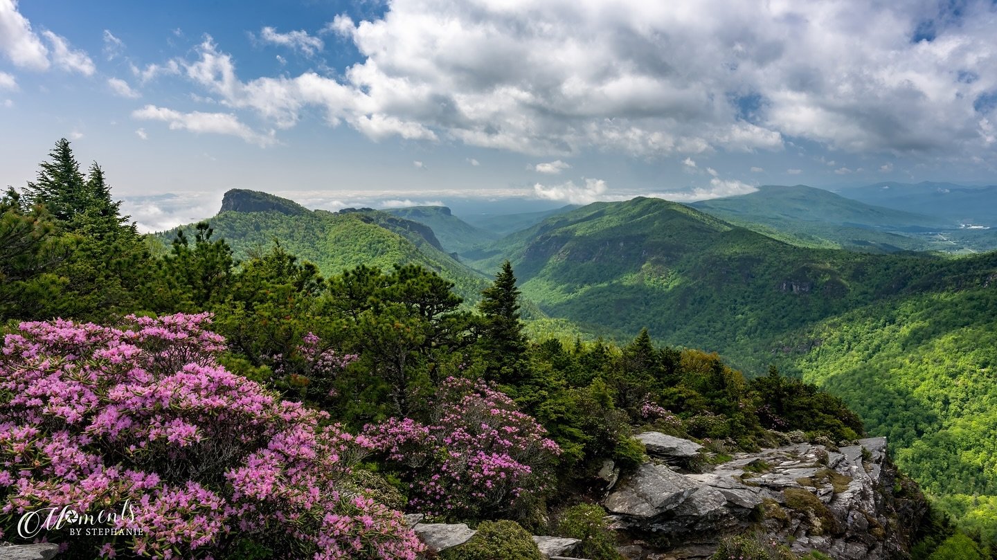 Be Still My Heart!  Oh what a glorious view!  North Carolina is dressed in her finest right now 🌸
So thankful I had the opportunity to hike #hawksbill again a few days ago.  The trail is steep but so worth every effort!  If you&rsquo;ve never been, 