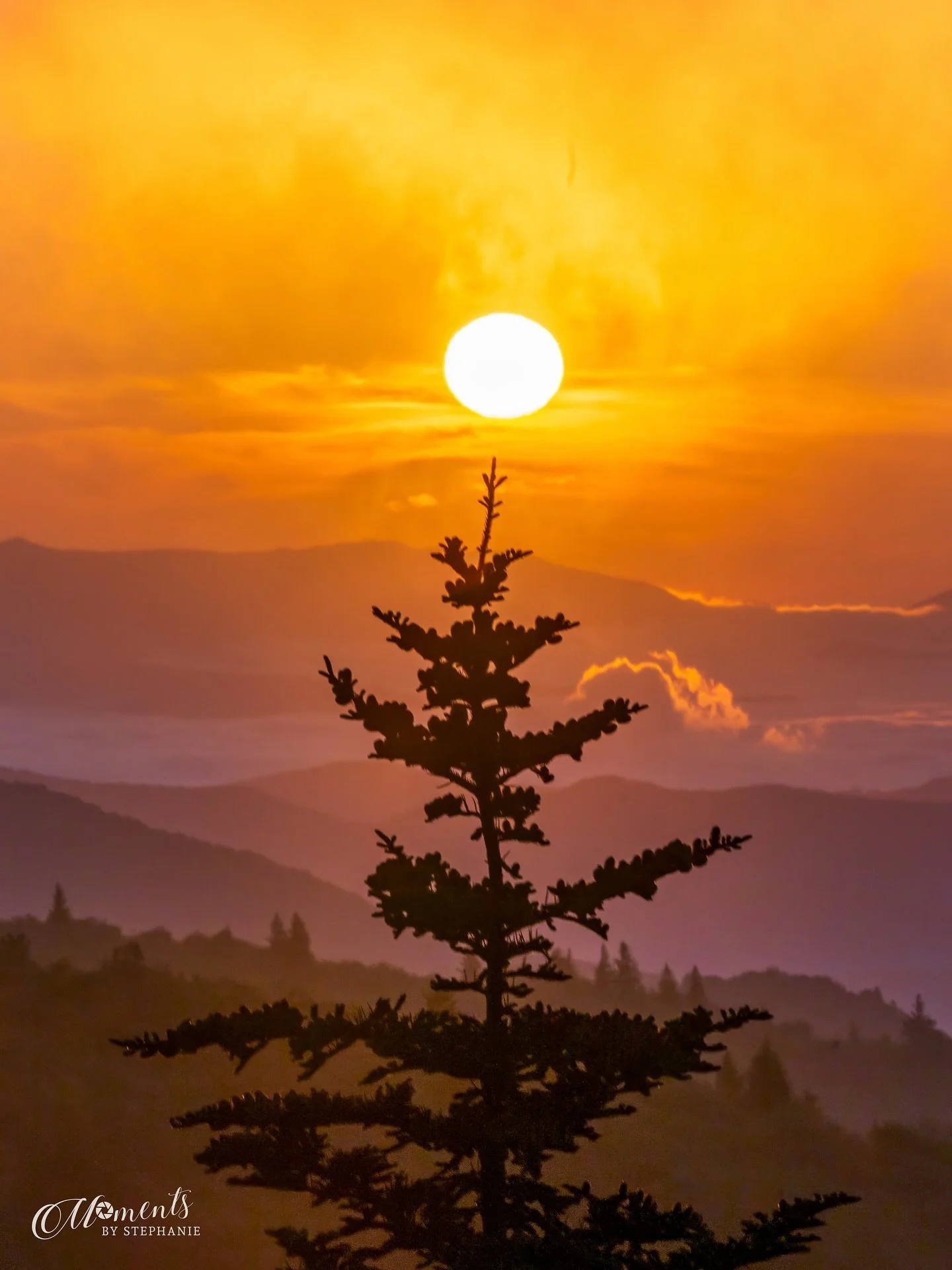 &ldquo;Crowned in Gold&rdquo;

Every sunrise carries a promise &mdash; light breaking through the shadows, hope spilling across the mountains. 🌄
This was one of those moments that caused my heart to leap for joy!  It was a special sunrise spent with