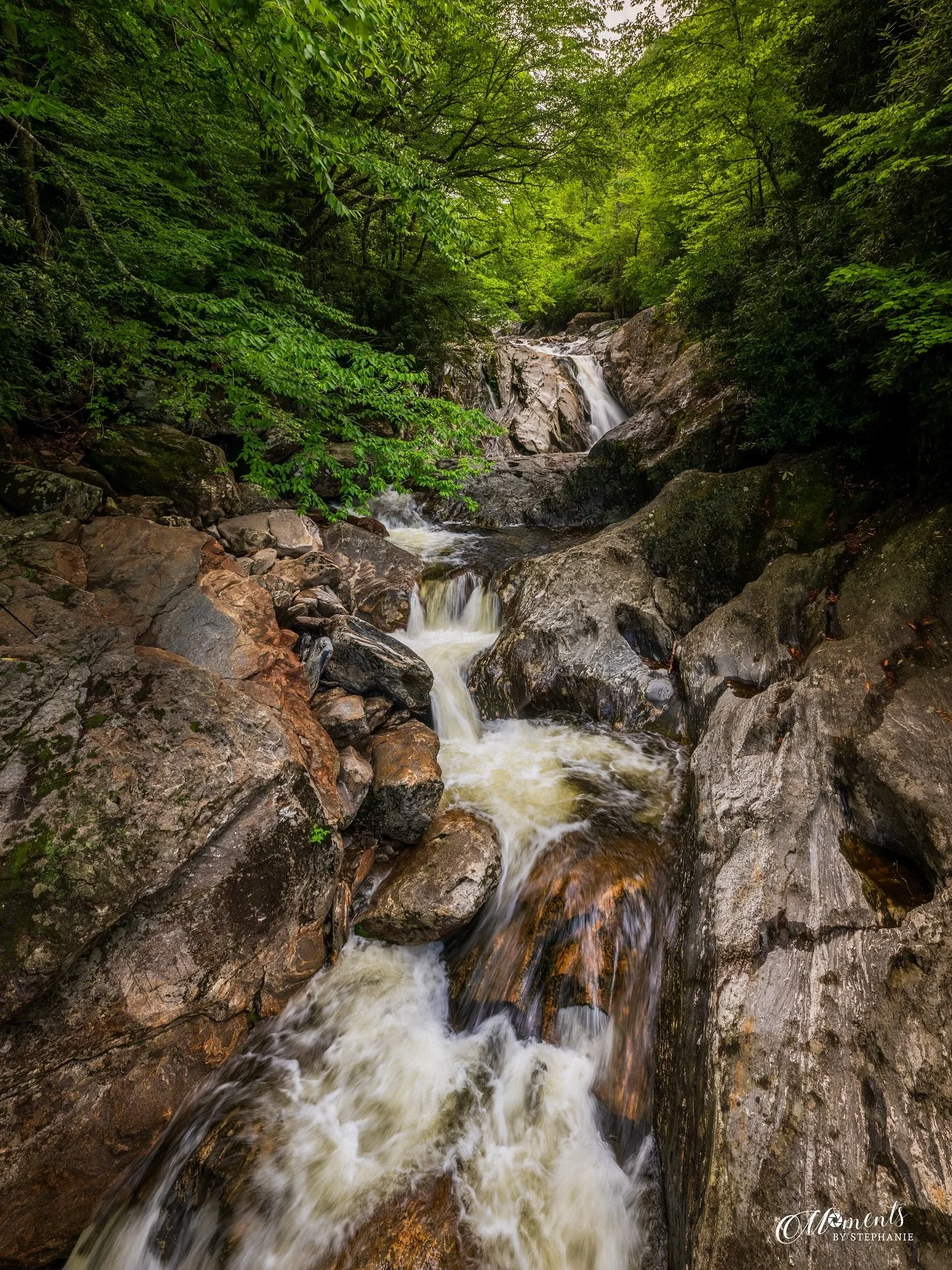 &ldquo;Cascading through Stone&rdquo; - Sunburst Falls, NC

Happy #waterfallwednesday 💦
This roadside beauty is always a fun one to stop by.  I enjoyed taking my #waterfallsandvistas workshop group there this June.  The water flow was perfect and th