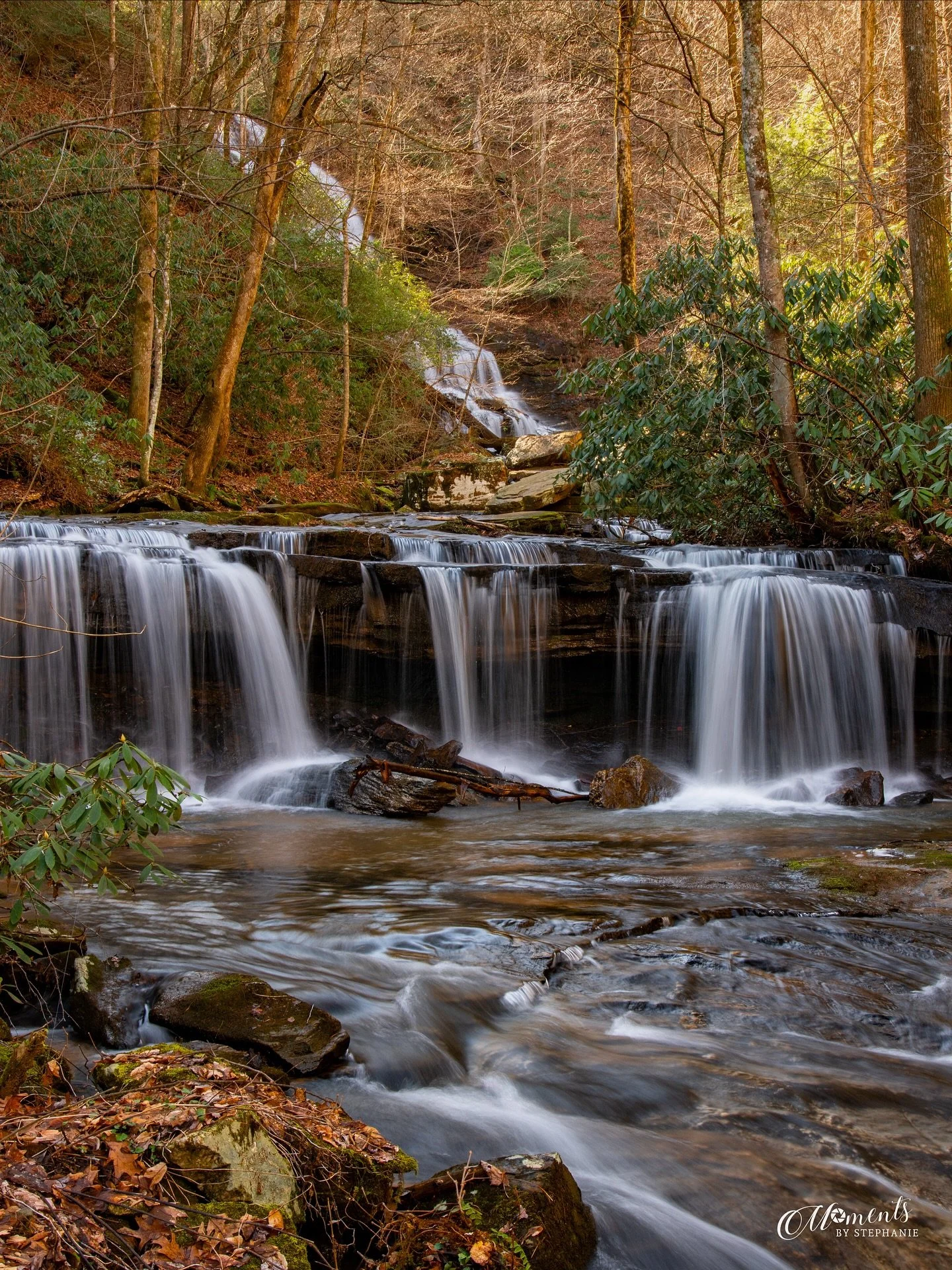 Fall is coming and I can&rsquo;t wait!!! I still have many summer images to post but I couldn&rsquo;t resist slipping in an autumn scene. 
We are almost a year past the wrath of Helene and still some of these treasured places are waiting to heal.  I 