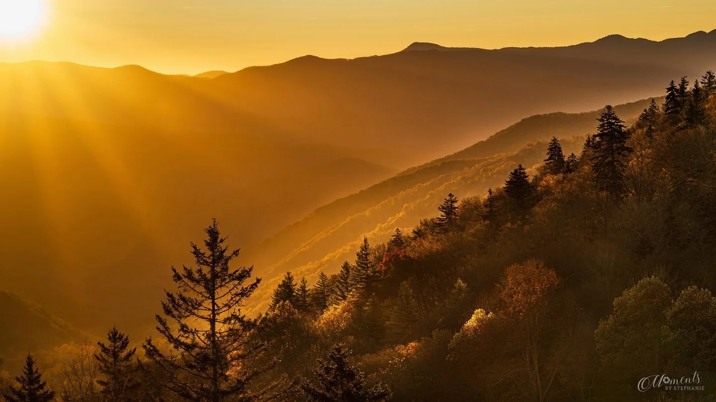 📸 &ldquo;A Luftee Goldrush&rdquo;

The morning light poured across the Smoky Mountains like liquid gold, transforming every ridge into something timeless. At Luftee Overlook near Cherokee, North Carolina, I watched as the warm sun peaked over the ho