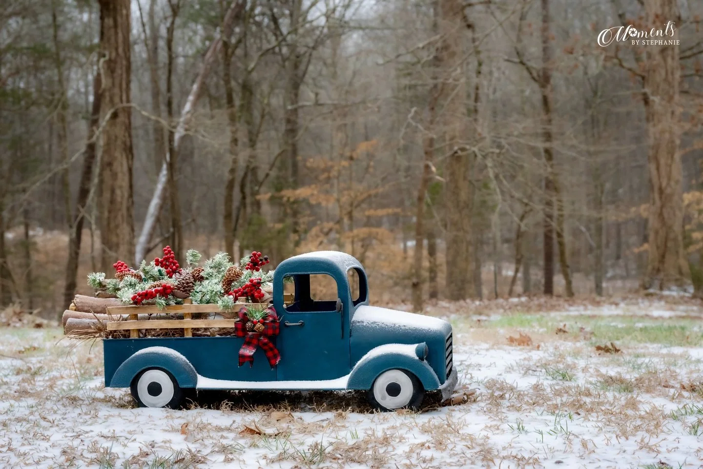 Snow Day in the country ❄️ 
Staying off the dangerous roads today so my yard became my studio.  Find something beautiful no matter your circumstances! 📸

1-25-26

#momentsbystephanie #backyardphotography #winterstormfern #wcnc #winterwonderland