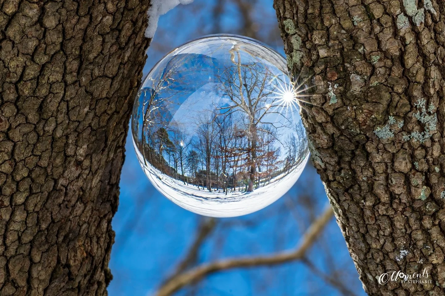 Hello February ❄️
A snow-covered landscape captured through a lens ball, and a sparkly little sunburst absolutely stealing the show. Sometimes winter really knows how to shine. ✨

2-1-26
Nikon Z8 &amp; Nikkor Z 24-120

#momentsbystephanie 
#LensBallP