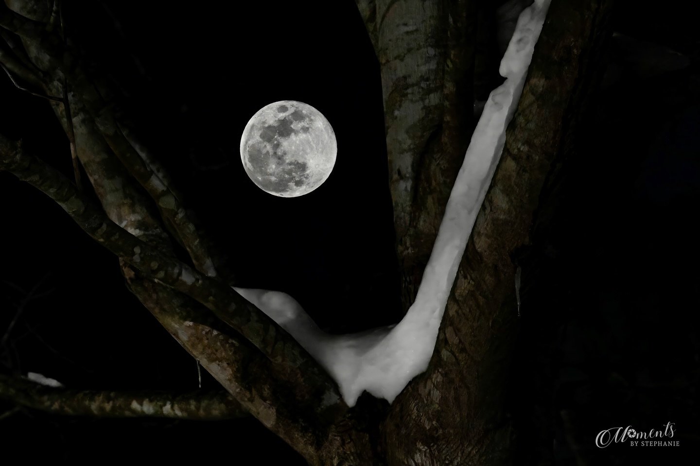 Last night&rsquo;s &ldquo;Snow Moon&rdquo; didn&rsquo;t come easy.

With icy, snow-covered roads, I wasn&rsquo;t able to drive out to a location I&rsquo;d normally choose. Surrounded by tall hardwood trees, I also couldn&rsquo;t catch the moon low on