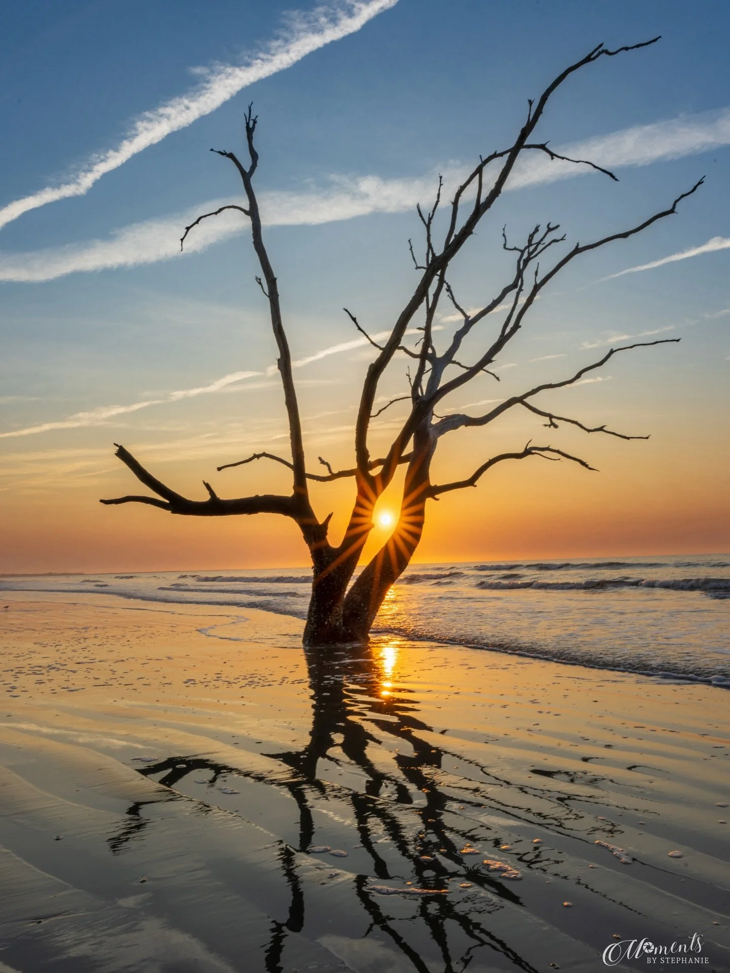 It&rsquo;s been a while since I&rsquo;ve shared here&hellip; and also a while since I&rsquo;ve had an opportunity to enjoy a beach sunrise like this. 🌅

My recent trip to Edisto Island allowed me that moment ☺️ Driftwood Beach was simply peaceful &m