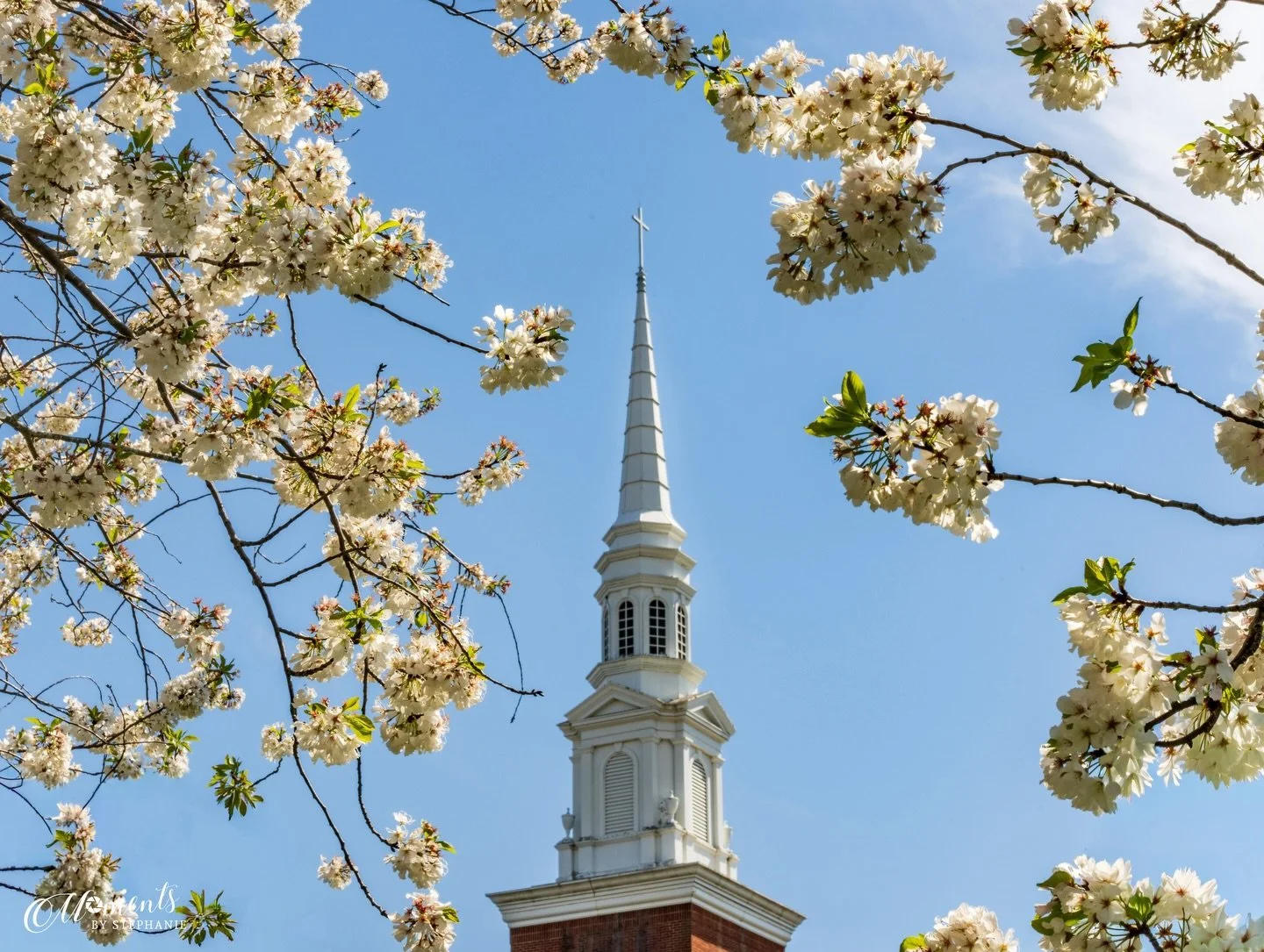 The cross was never the end of the story. 🌷

Jesus Christ died for our sins and I&rsquo;ll never take that for granted&hellip;but without the resurrection, death would have still had the final word. The empty tomb is everything!  Victory&hellip;. Ho