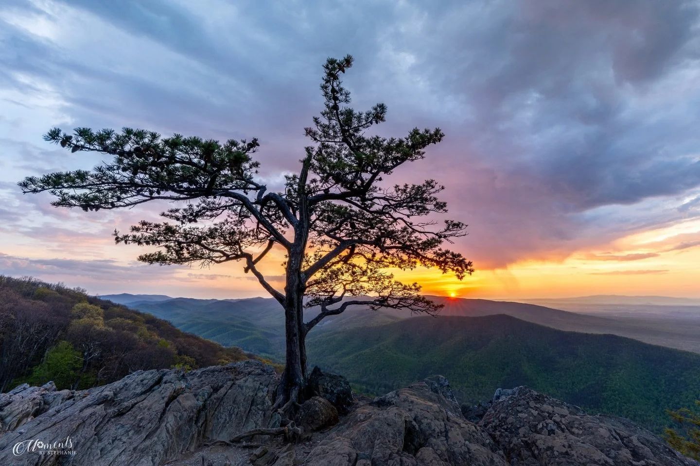 This one made me work for it 😅
Sat through a rainstorm at Raven&rsquo;s Roost thinking it might be a bust, and then right at the end&mdash;this little window of light showed up. Funny how that happens.

Sometimes the best views don&rsquo;t come easy