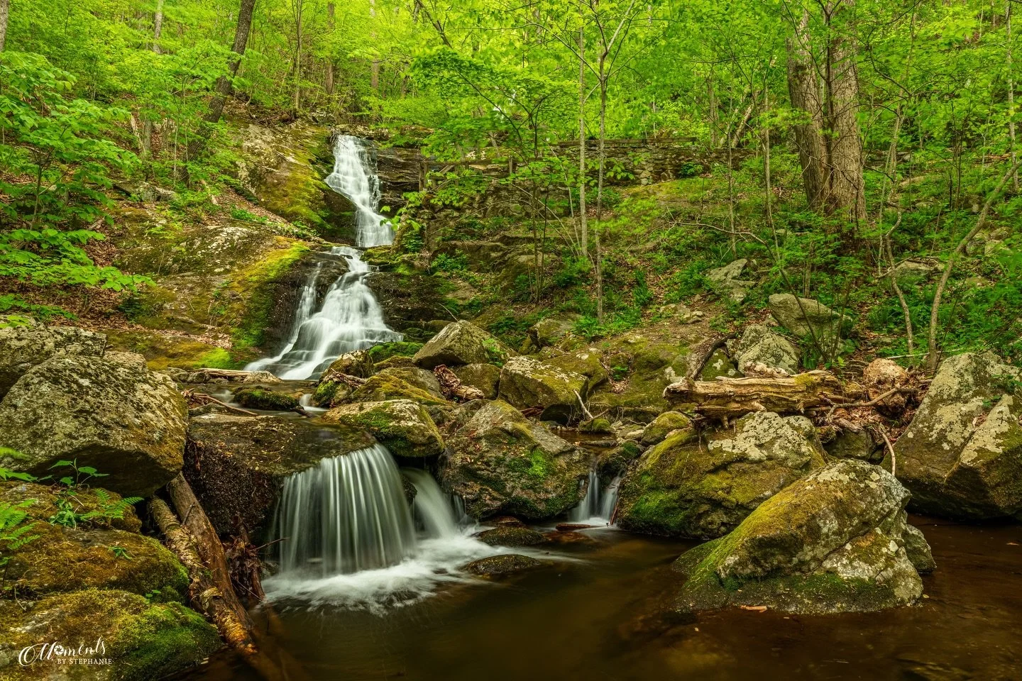 Spring Greens of Crabtree 🌿

A new waterfall for your Wednesday 🤩
My first visit to Crabtree Falls in Virginia&mdash;and such a different feel from Crabtree Falls in NC. This one felt quieter, more intimate. The lower water flow gave me the chance 