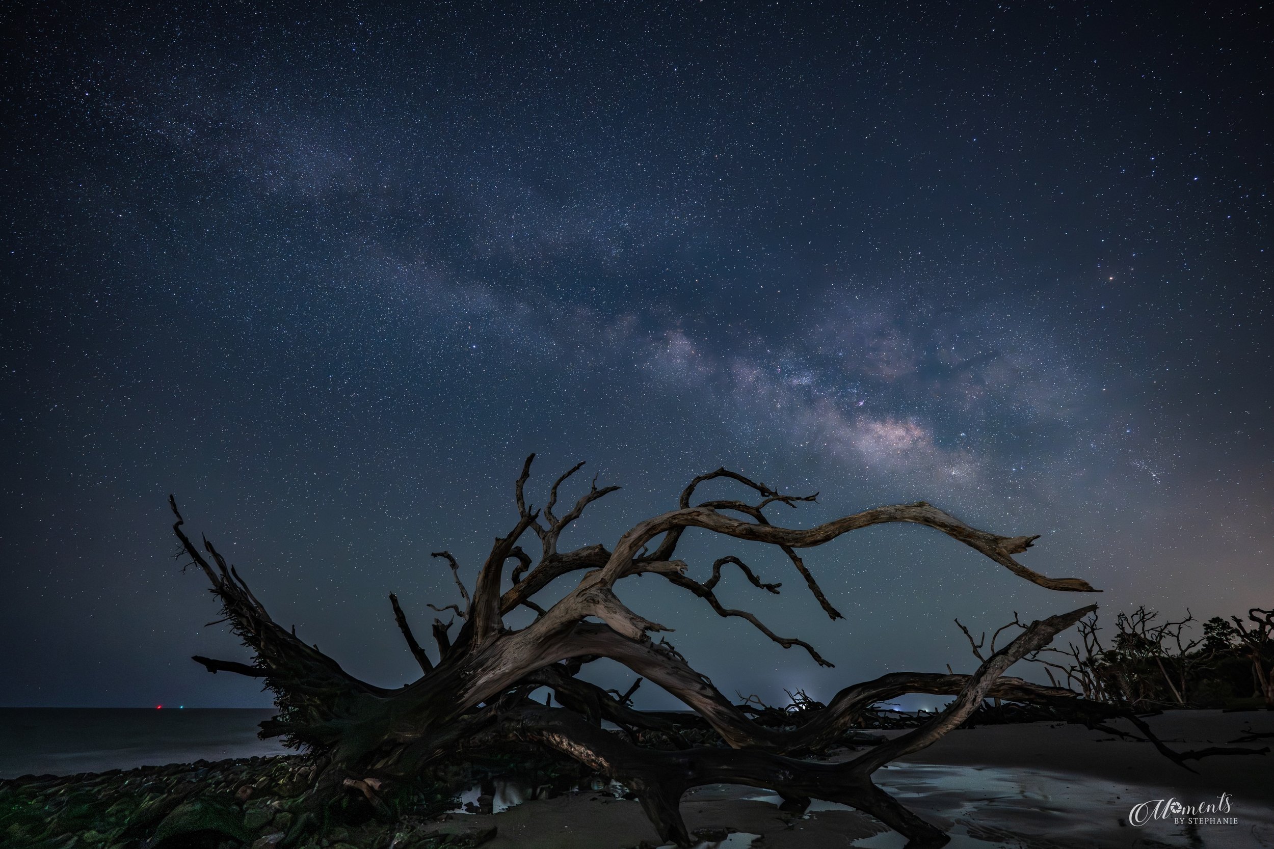 ✨ Rooted Beneath the Stars

#TreeTuesday meets Milky Way season. 🌌🌳

One of my favorite moments from our recent girls&rsquo; photography trip to Jekyll Island was spending an evening photographing the driftwood trees beneath the Milky Way stretchin