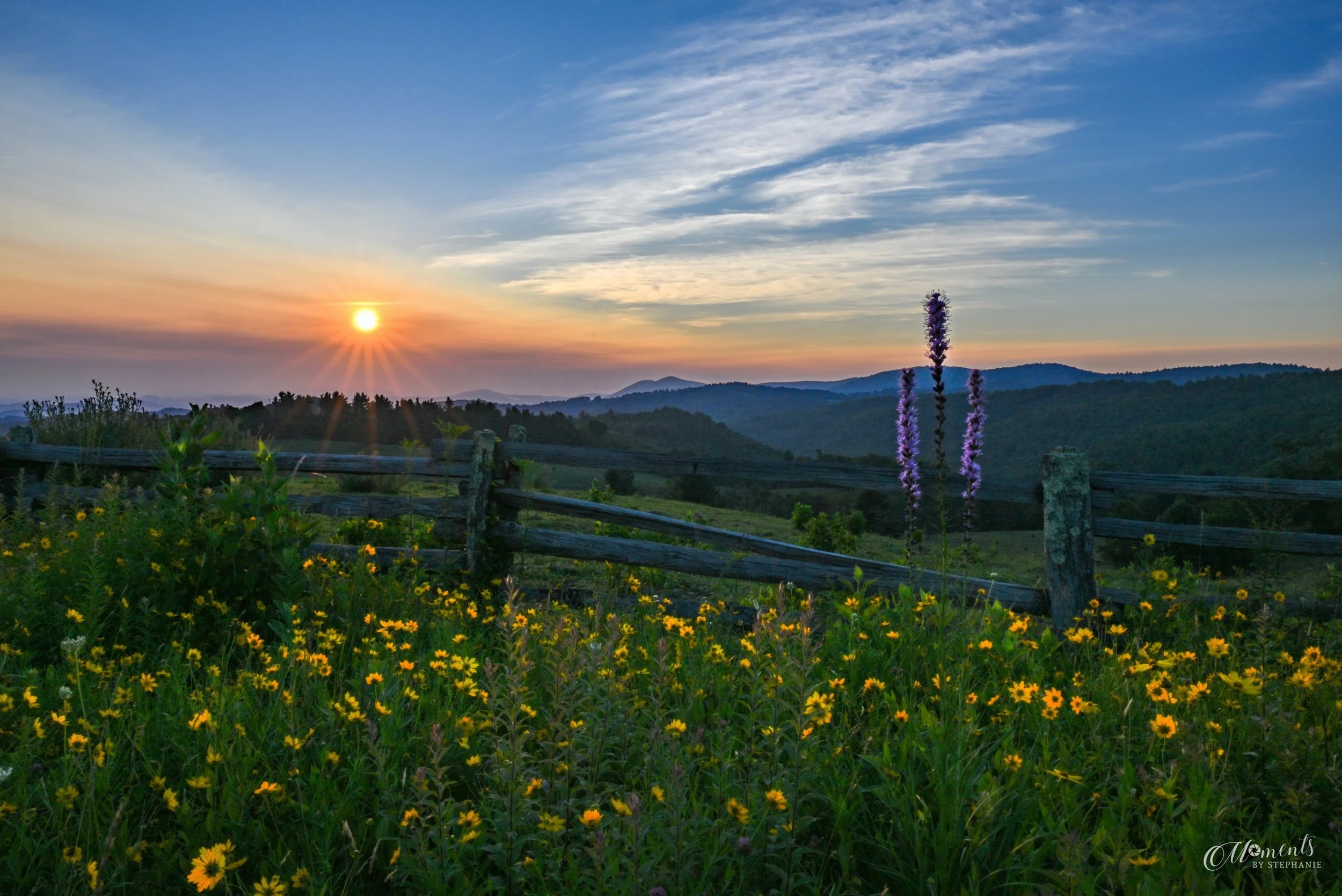 &ldquo;Wildflower Morning&rdquo;

One of the things I love most about photography is that the same place never tells the same story twice.

I&rsquo;d been hoping to experience sunrise at Doughton Park for a long time, and it was worth the wait. This 