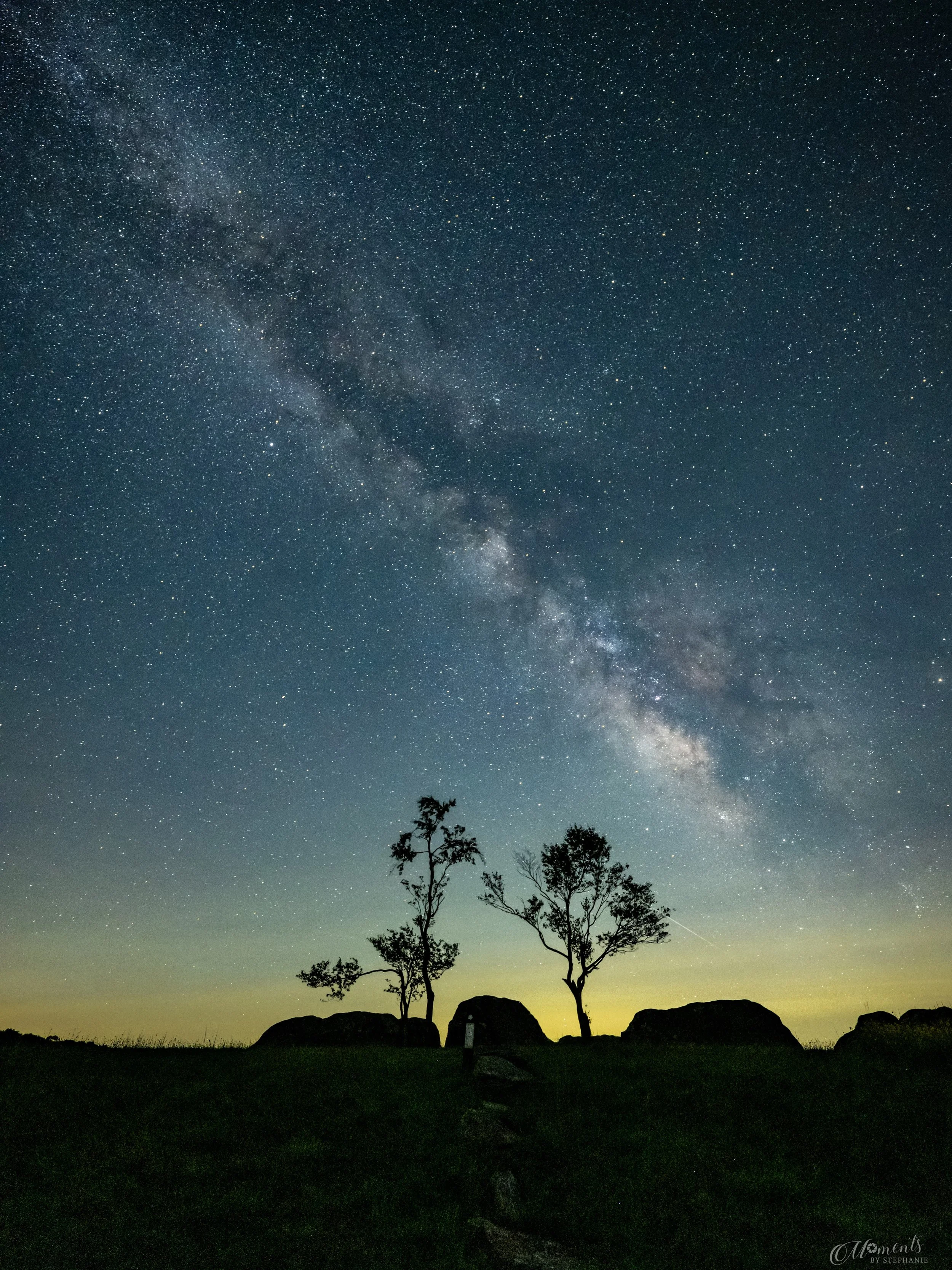 🌳✨ Tree Tuesday 

&ldquo;Worth the Wait&rdquo;

For nearly a year, this image existed only in my imagination.

Last July, while scouting along the Blue Ridge Parkway, I visited Doughton park and loved these two trees standing among the boulders. I i