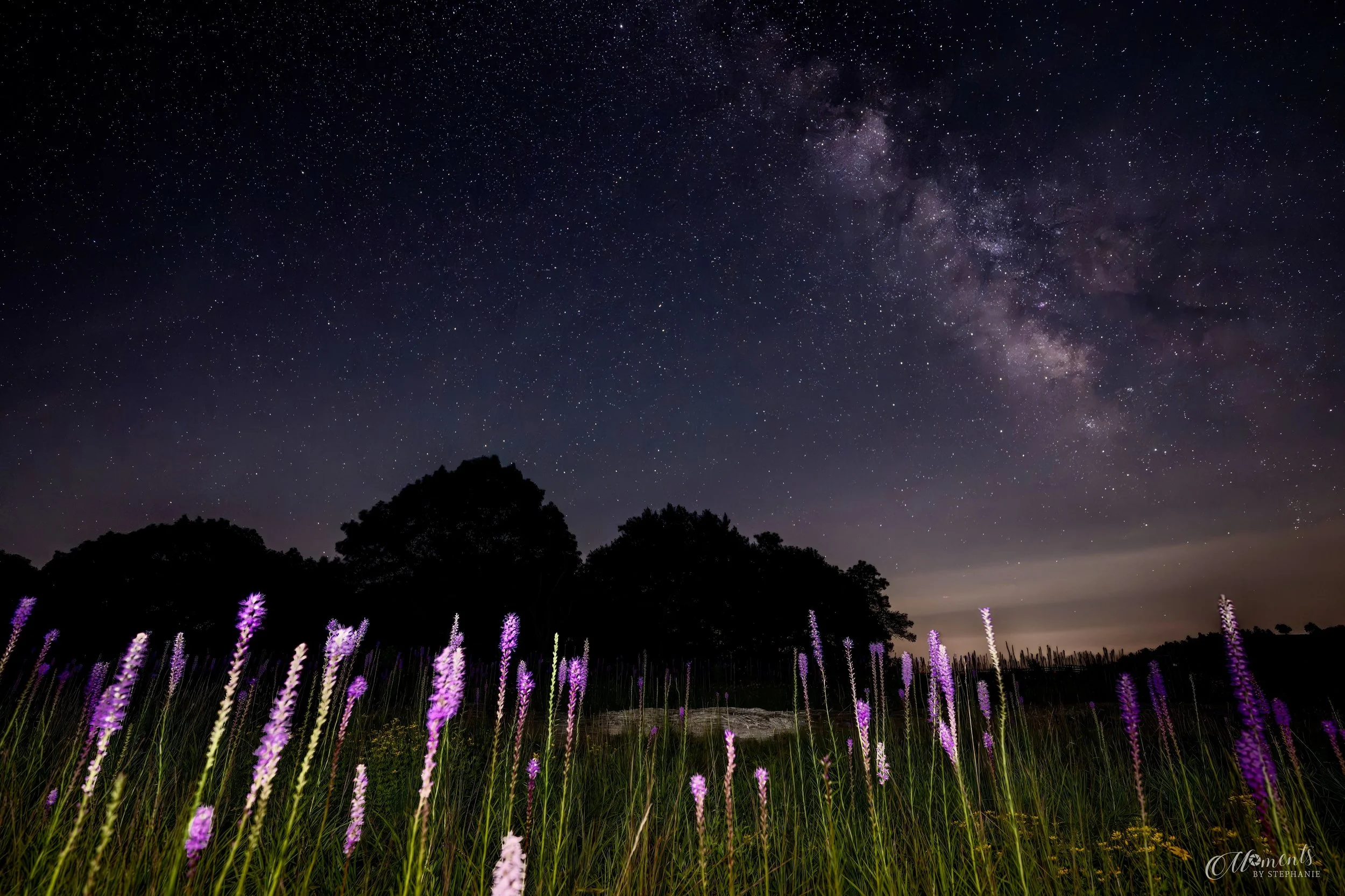 Reach for the Stars 🌟 

Thought I&rsquo;d sneak in a #milkywaymonday shot before the day is completely over!  Sure did have fun trying to capture this shot as the purple blazing stars danced in the wind.  It was a challenge to capture it all in one 