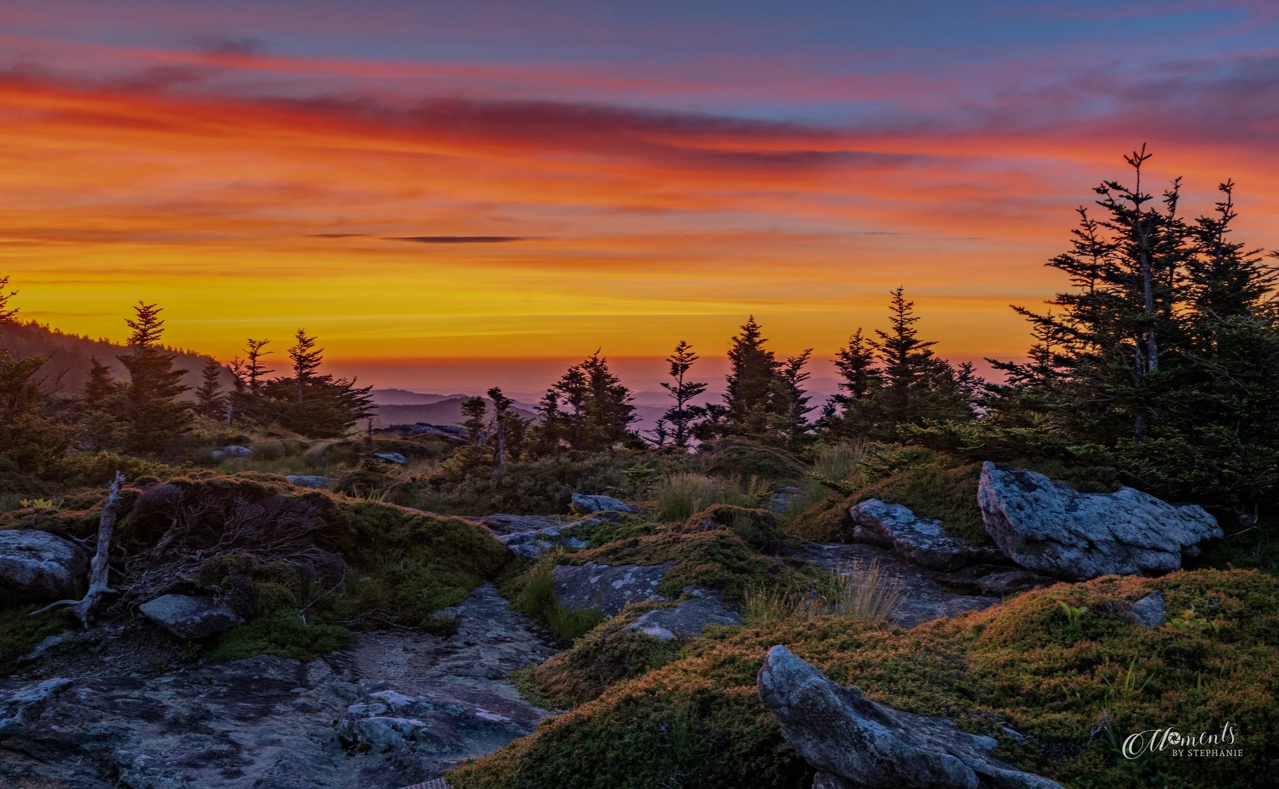 When the Mountain Wakes

There are moments in the mountains that feel almost unreal &mdash; when the darkness gives way to color and the first light begins to stretch across the ridges.

This was one of those mornings on Grandfather Mountain.

Captur