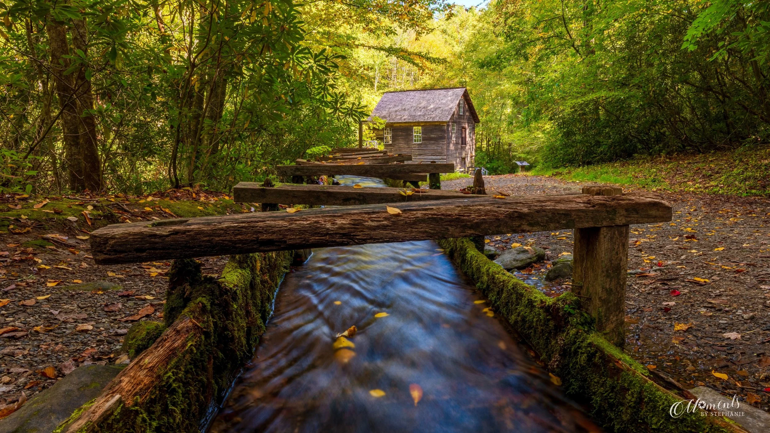 🍂 A little glimpse of early Fall at Mingus Mill.

It&rsquo;s been a while since I&rsquo;ve shared a photograph here. Life took an unexpected turn when my husband faced a very serious medical condition, and our world shifted in ways we never anticipa