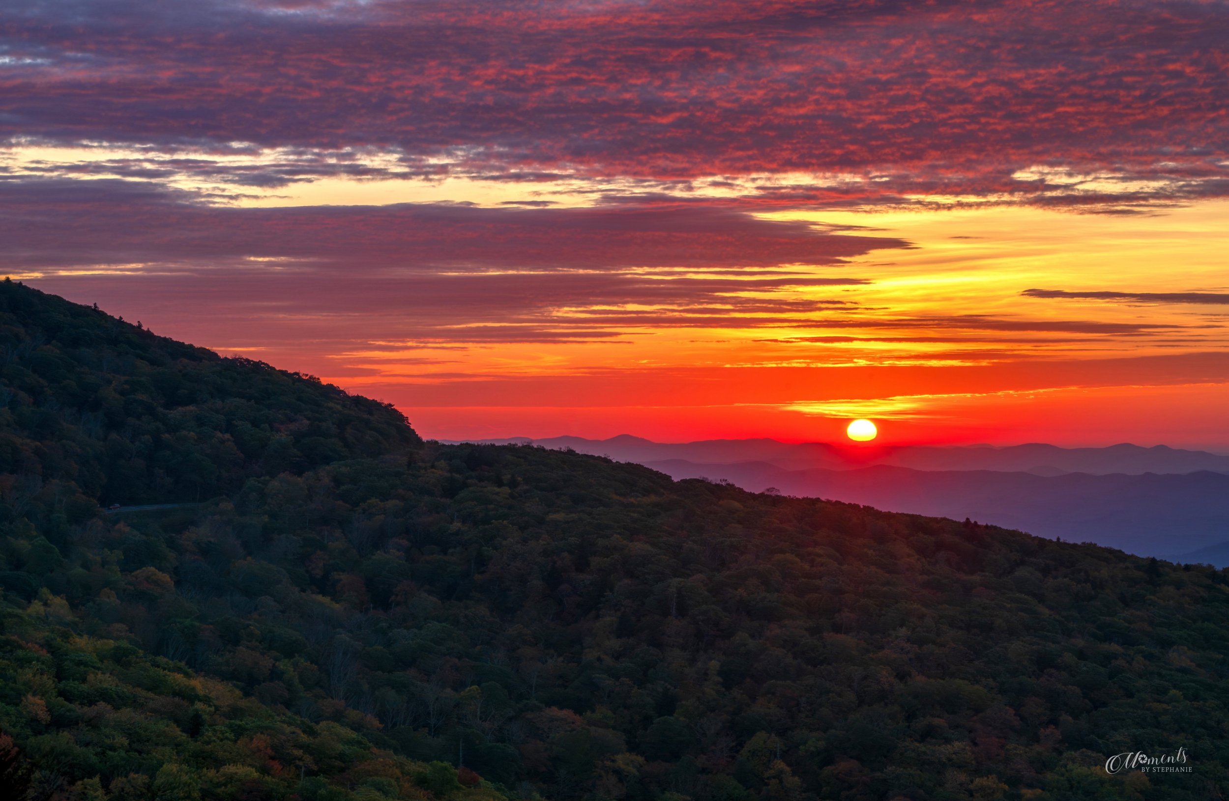 Worth the Early Morning 🌅
3:30 a.m. came early, but there are moments when you just know you need to get up, make the drive, and see what the morning has in store.

Thursday, that meant heading to the Blue Ridge Parkway, finding parking, and hiking 