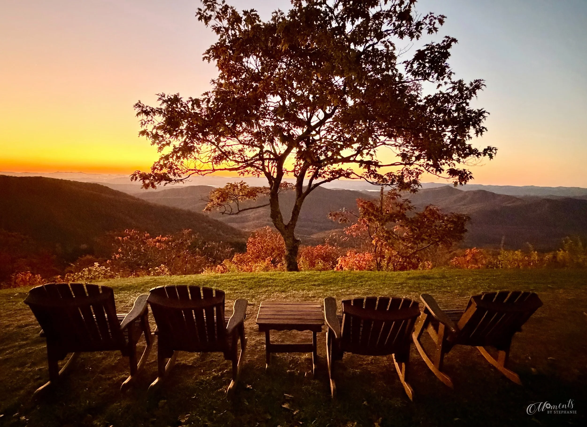 The Gift of Light ☀️
October 2025 | Pisgah Inn, Blue Ridge Parkway

It was a frigid morning, and the wind was howling across the mountaintop. Definitely not the kind of morning that makes you want to linger outside for long! 🥶

But then the golden l