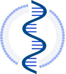 mRNA-based Therapeutic Summit