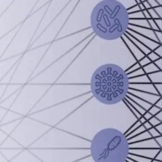 AI4ID: Bridging Infection and Artificial Intelligence