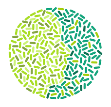  Annual MIT Microbiome Symposium 2026